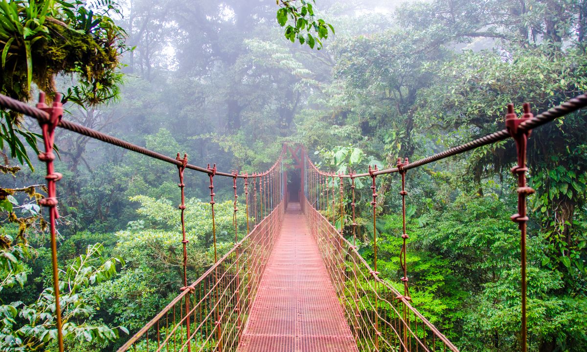 Pont_dans_la_forêt_tropicale_Monteverde-COSTA RICA_©shutterstock_257399221