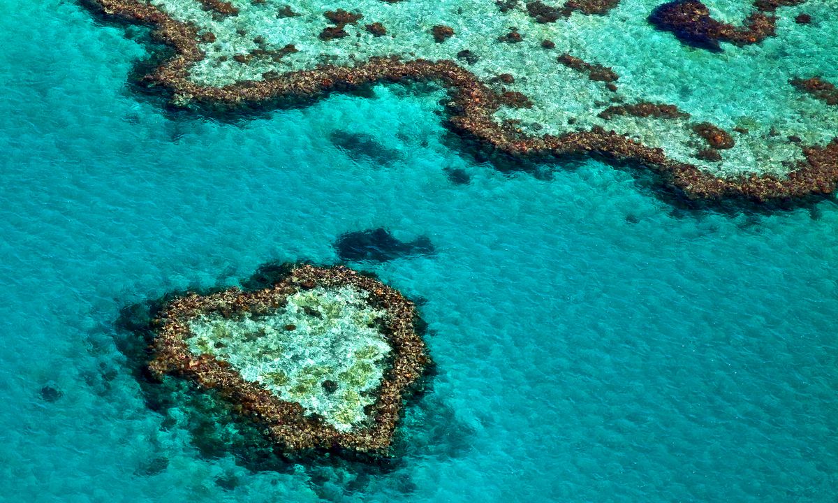 Sydney, le Centre Rouge et Cairns