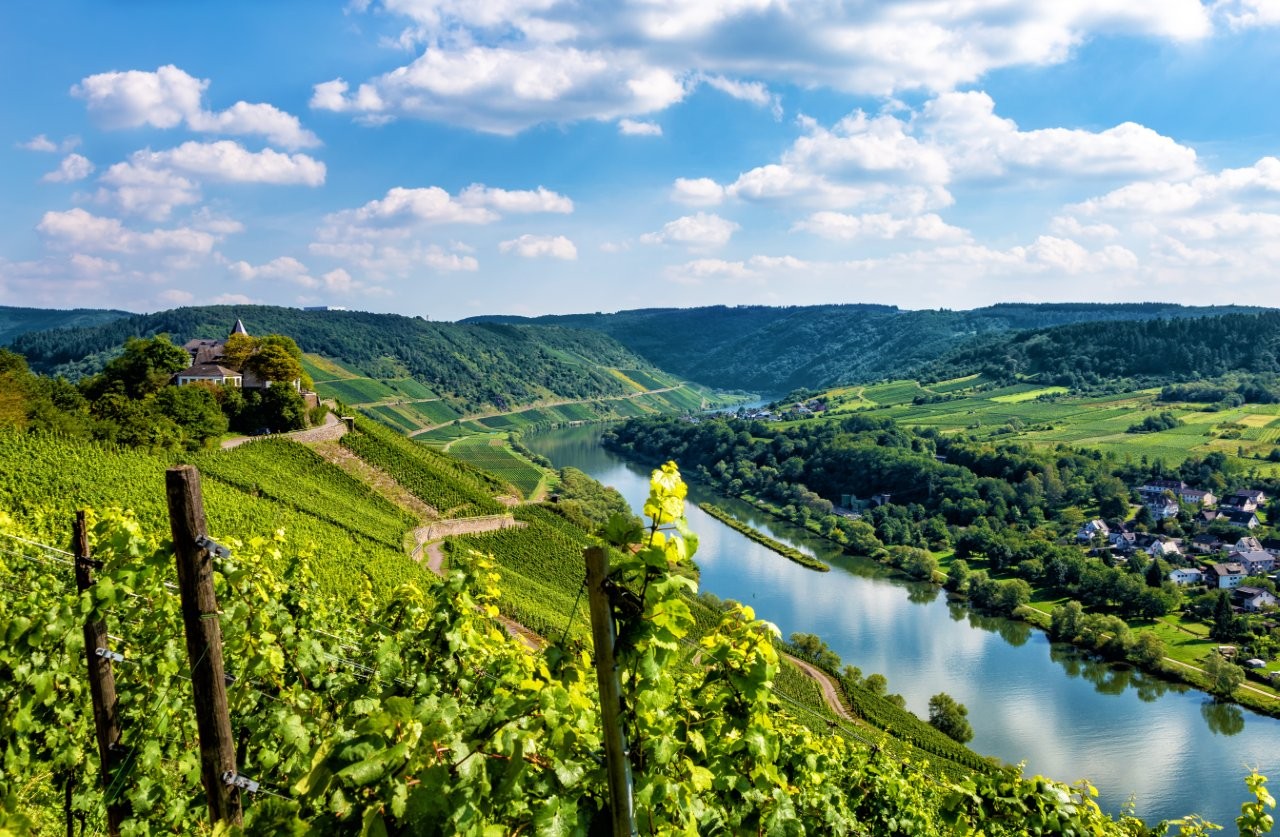 LA CROISIERE 3 FLEUVES : Le Rhin, La Moselle et le Main