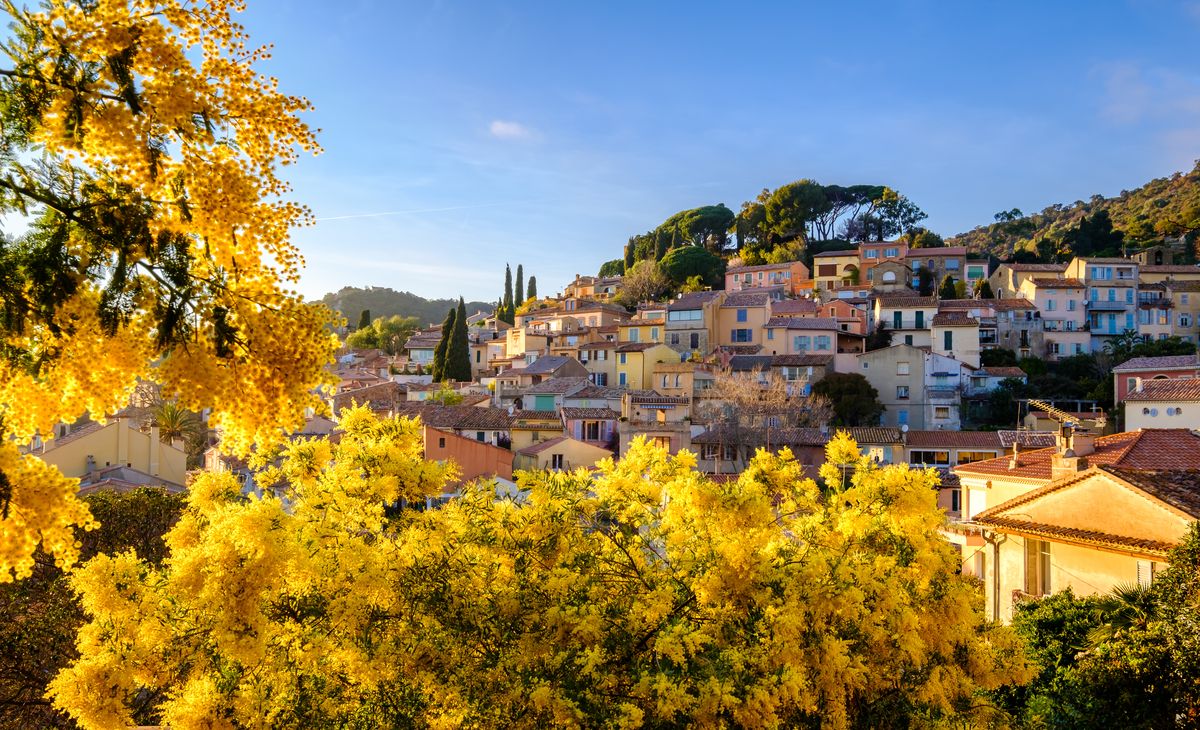 SUR LA ROUTE DU MIMOSA ET DE LA VIOLETTE, séjour à Sainte Maxime