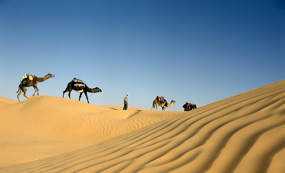 De Tozeur à Djerba