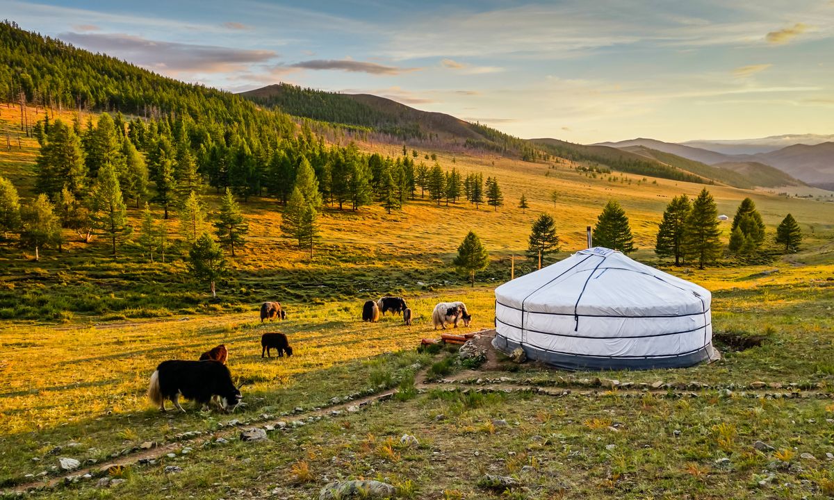 Des steppes au désert de Gobi