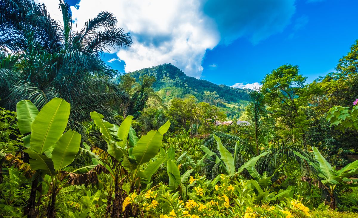 Circuit Splendide Madagascar 2*