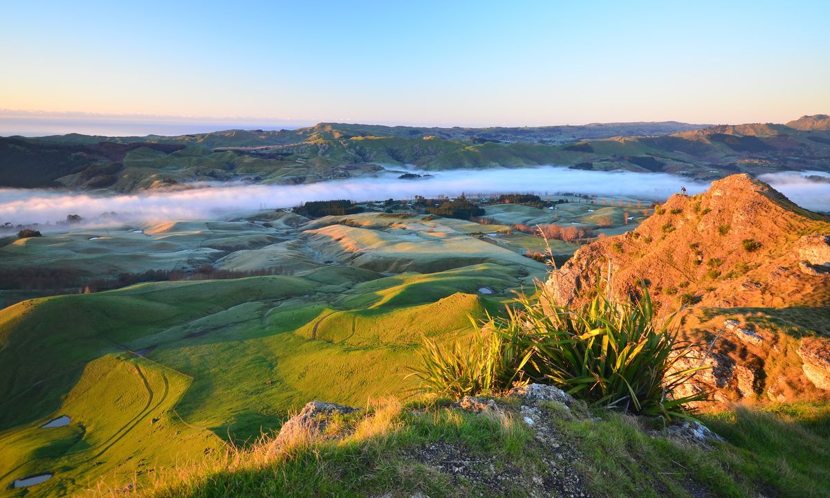 Matin_à_Te_Mata_Nouvelle_Zélande©Fotolia_165127393
