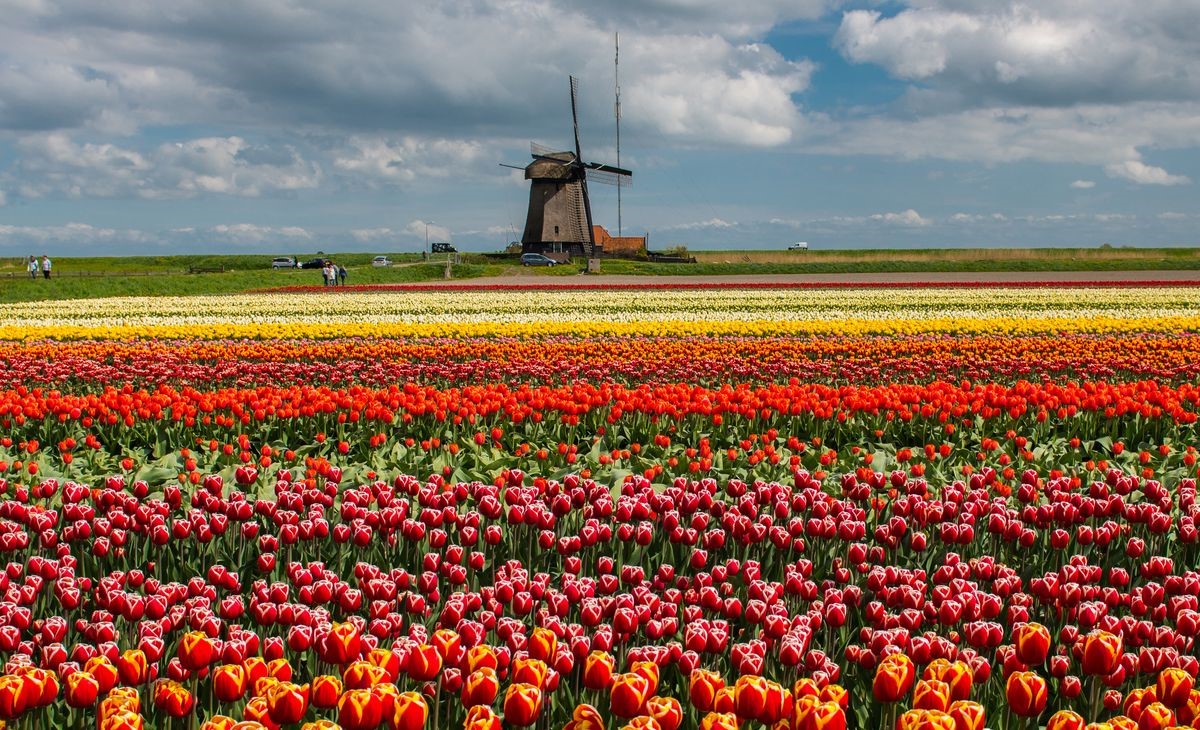 Circuit Autocar, La Hollande au printemps : Keukenhof, Amsterdam, Bruges