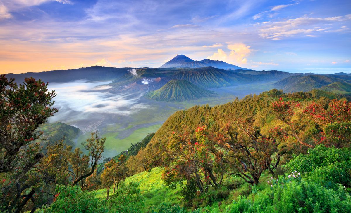 2026 - INDONESIE - Splendeurs d'Indonésie / Escapade dans les Célèbes
