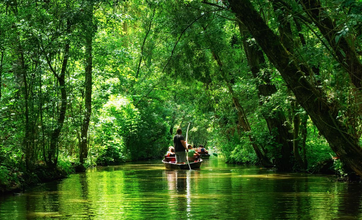 MINES D'ARGENT ET MARAIS POITEVIN