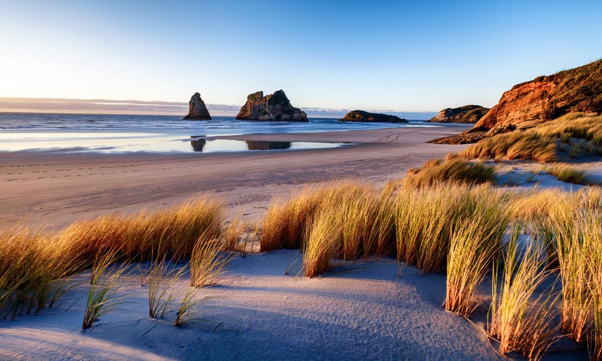 Lever_du_soleil_du_matin_avec_des_buissons_et_de_l'herbe_à_Wharariki_Beach_Nouvelle_Zélande_©AdobeStock_241198662
