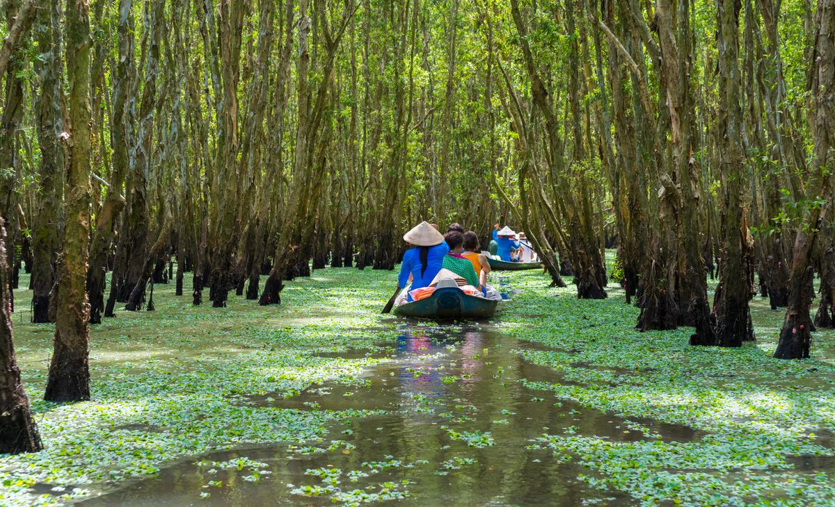 Bateau_à_rames_de_tourisme_dans_le_delta_du_Mékong_Vietnam©shutterstock_242141830