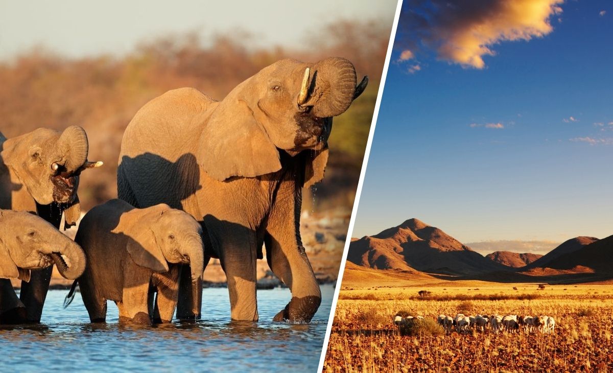2026 - Terre sauvage avec extension Fich River Canyon et désert du kalahari