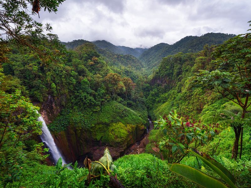 Jour 1 : Bienvenue au Costa Rica ! | Voyage "Les pistes du Costa Rica en 4x4" en autotour avec decoov votre spécialiste du Costa Rica ©AdobeStock