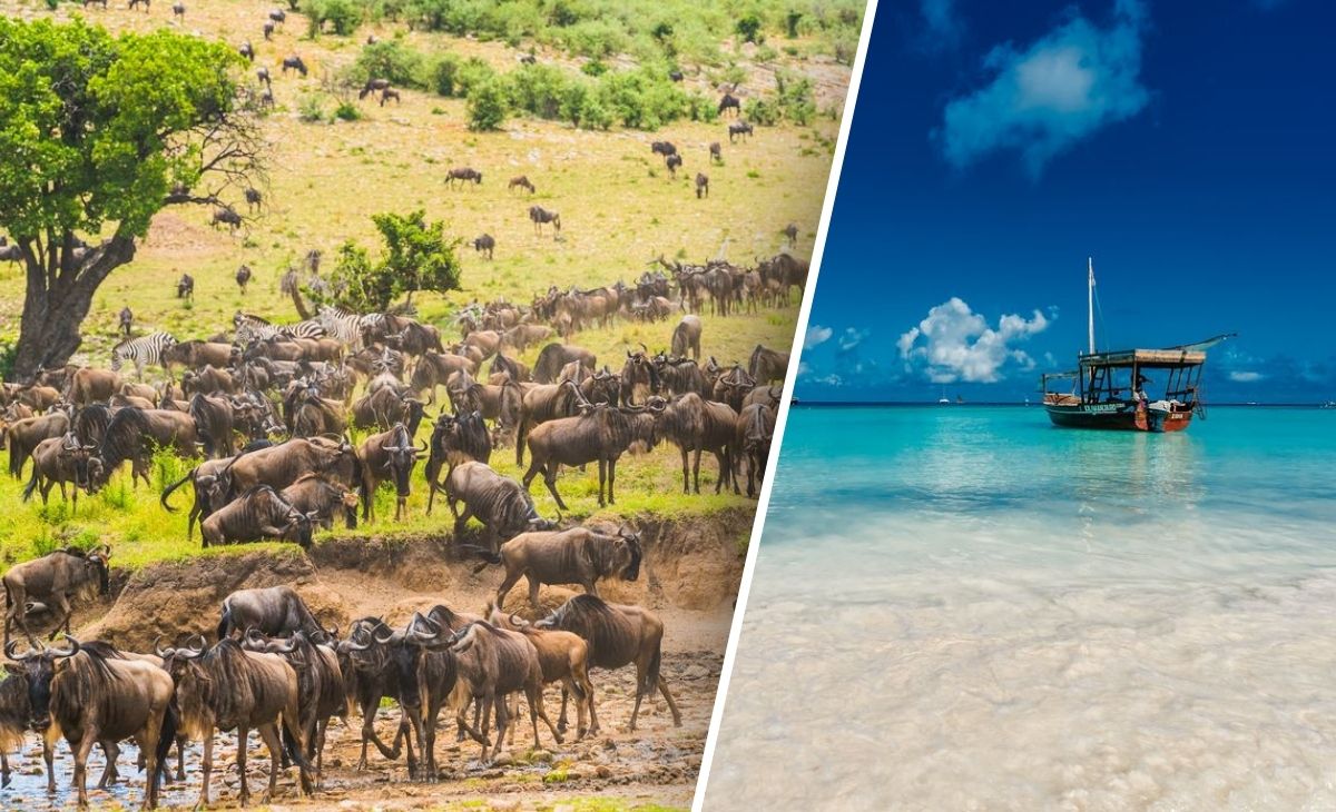 Circuit safari en 4x4, splendide Tanzanie + extension à Zanzibar