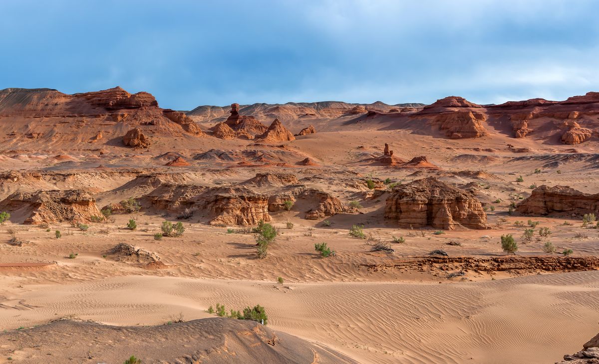 Dans Les Steppes De L Asie Centrale