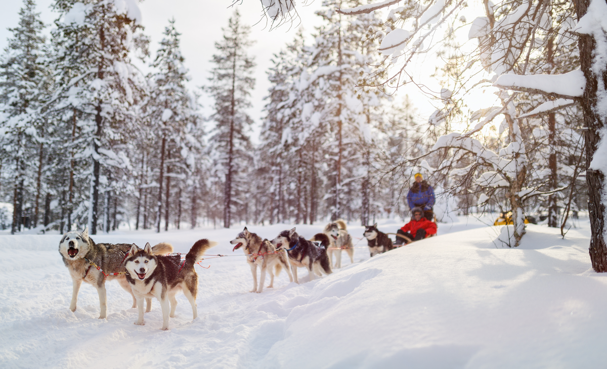 Laponie : Séjour à l'hôtel Saaga 4****