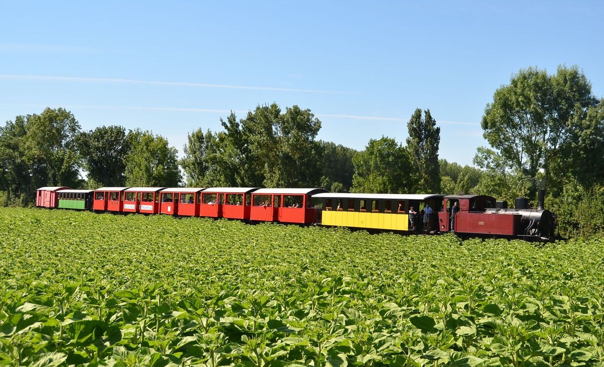 LE TRAIN DES MOUETTES