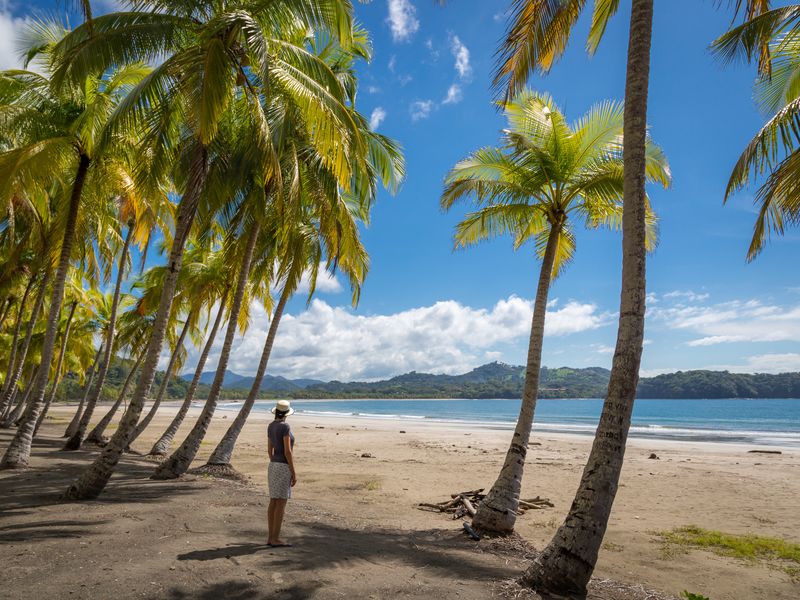 Jour 7 : Journée libre selon vos envies | Voyage "Les pistes du Costa Rica en 4x4" en autotour avec decoov votre spécialiste du Costa Rica ©AdobeStock