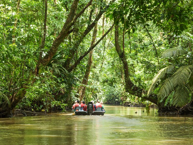 Excursion au Parc National de Tortuguero
