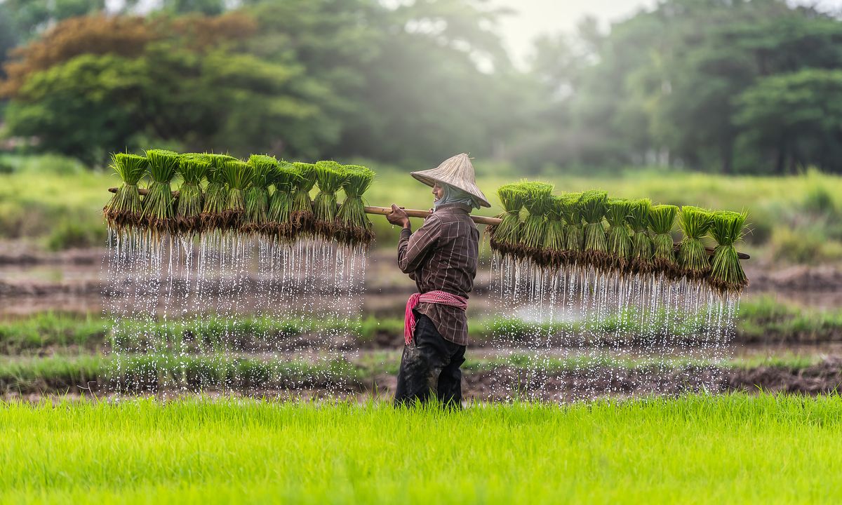 2026 - Splendeurs du Laos en 4*
