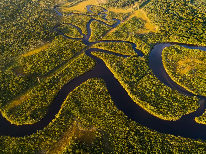 Croisi&egrave;re en Amazonie