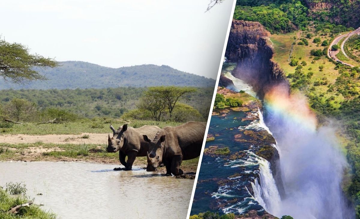 2026 - Du Cap au Kruger et escapade aux chutes Victoria