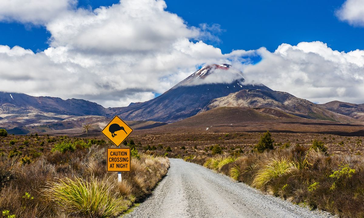 Signe_kiwi_et_mont_Ngauruhoe_en_Nouvelle_Zélande©AdobeStock_384394360