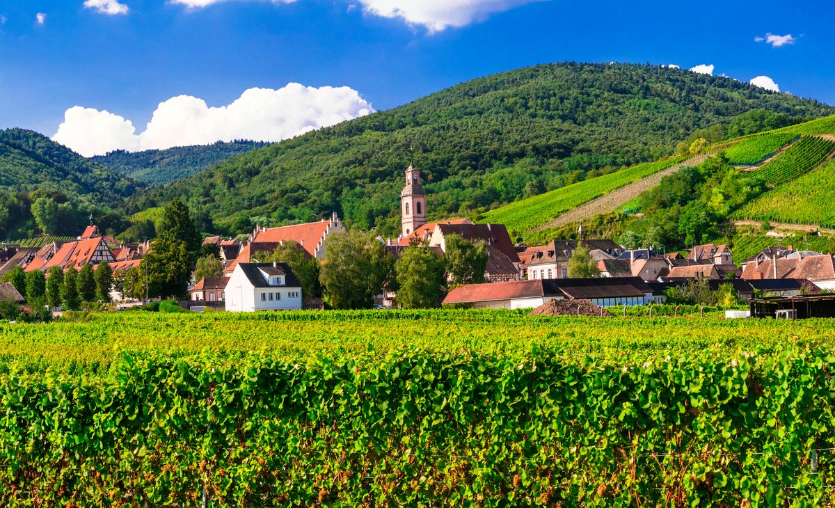 L’Alsace et échappée en Forêt Noire