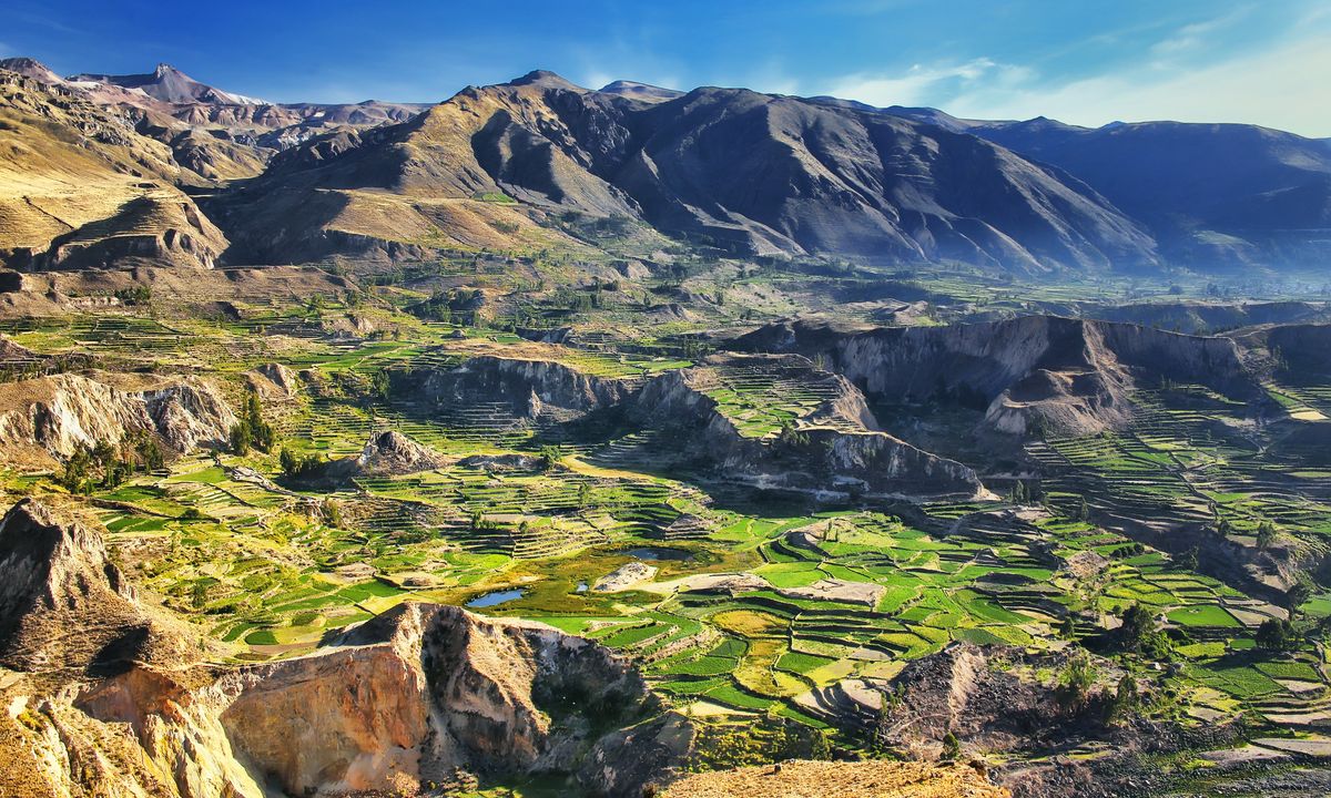 Canyon_Colca_PEROU_©shutterstock_515694514
