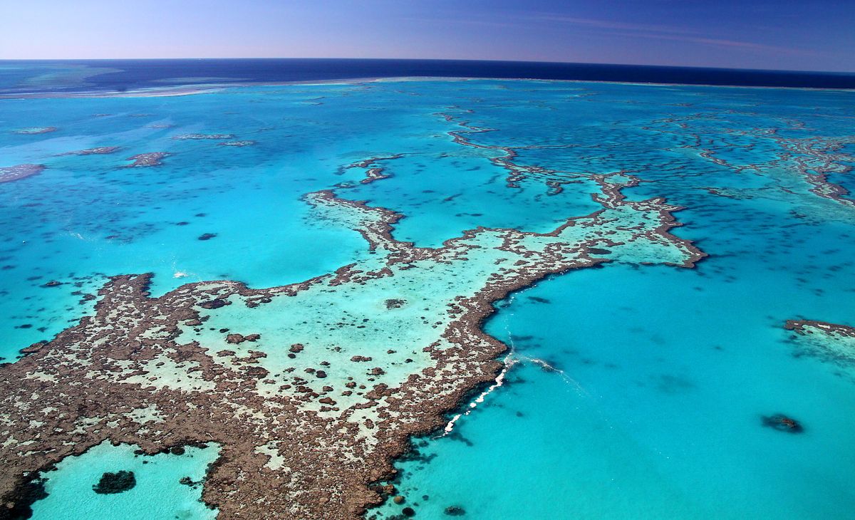 Des_couleurs_magnifiques_dans_la_Grande_Barriere_de_Corail_AUSTRALIE_©shutterstock_154199480