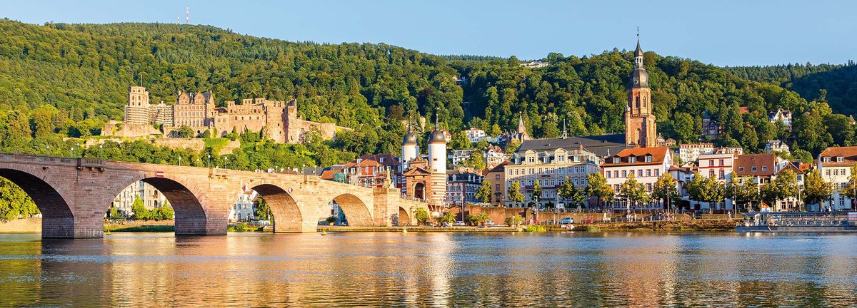 La vallée du Rhin Romantique & le rocher légendaire de la Lorelei, au départ de la région sud-ouest