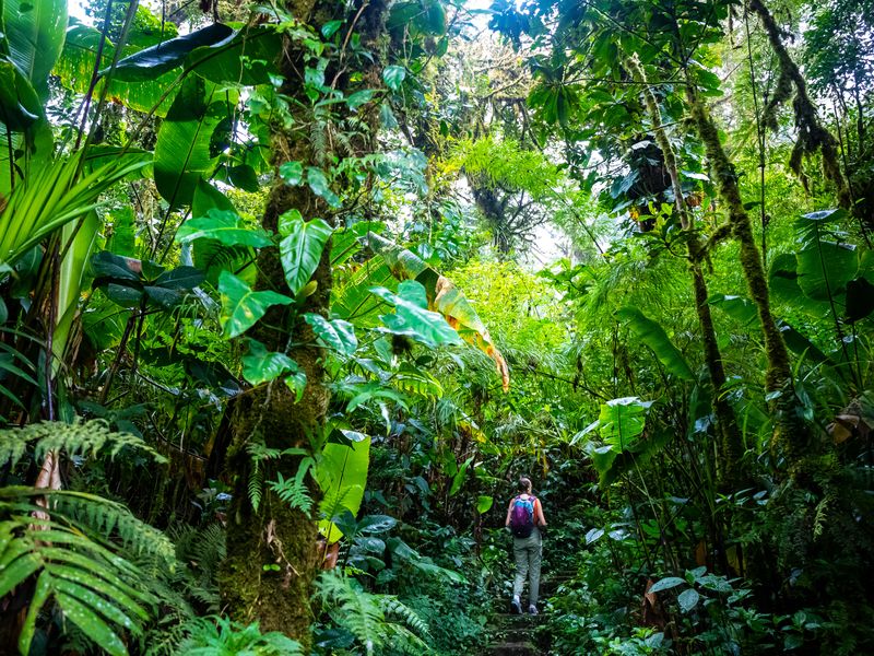 Jour 3 : Découverte du parc National du volcan Arenal | Voyage "Le Costa Rica en liberté" en circuit individuel privé avec decoov votre spécialiste du Costa Rica ©AdobeStock