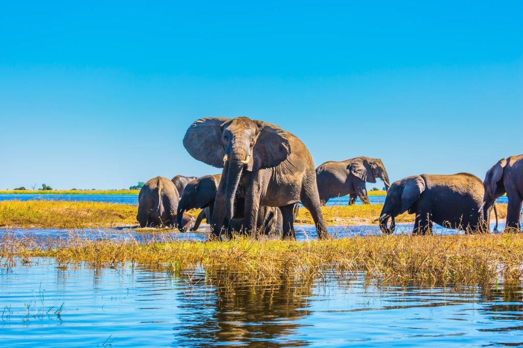 Circuit - Zimbabwe et Botswana - Des chutes Victoria au Delta de l'Okavango