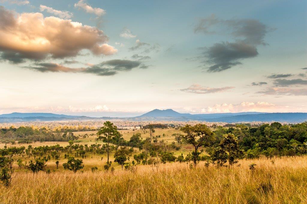 Circuit - Kenya - Safaris en 4*4 sur les pistes du Kenya